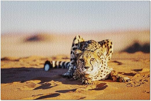 Amazon Co Jp Hdナミビア ナンビアの砂丘 19x27プレミアム1000ピースジグソーパズル アメリカ製 に横たわるチーターの美しいクローズアップの肖像画 本
