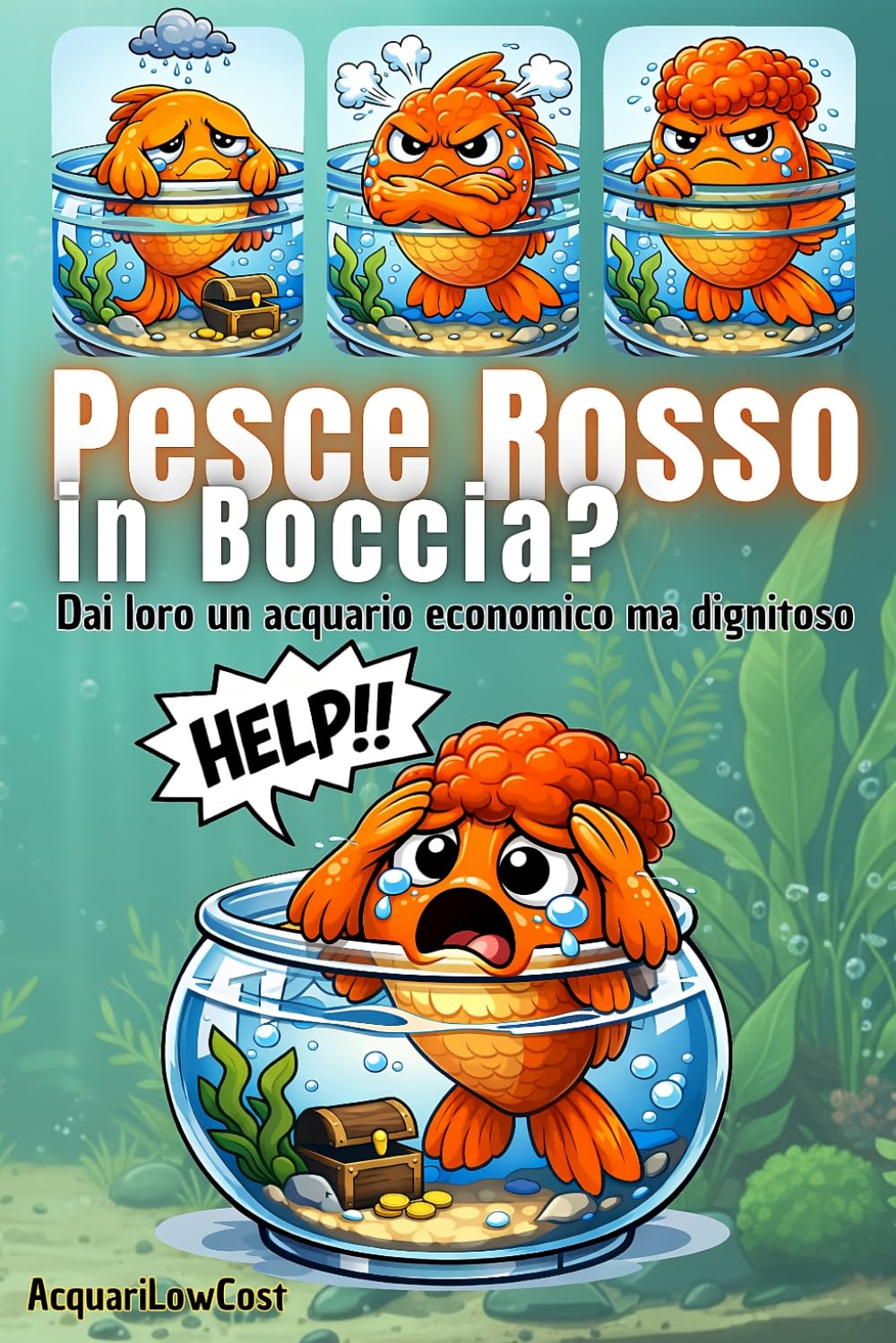 Pesce Rosso in Boccia?: Dai loro un acquario economico ma dignitoso (Acquari Low Cost: Per acquari semplici, economici e funzionali)