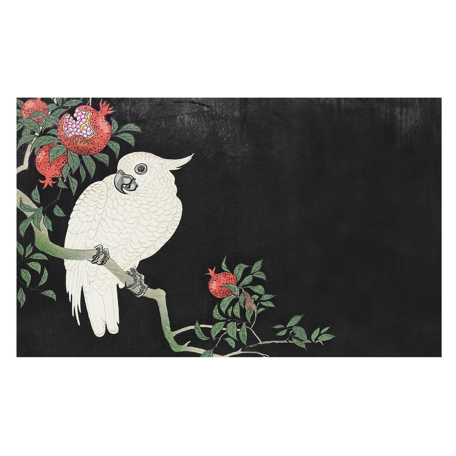 Papel Pintado Textil De Tejido No Tejido 416x254 cm Loro granado