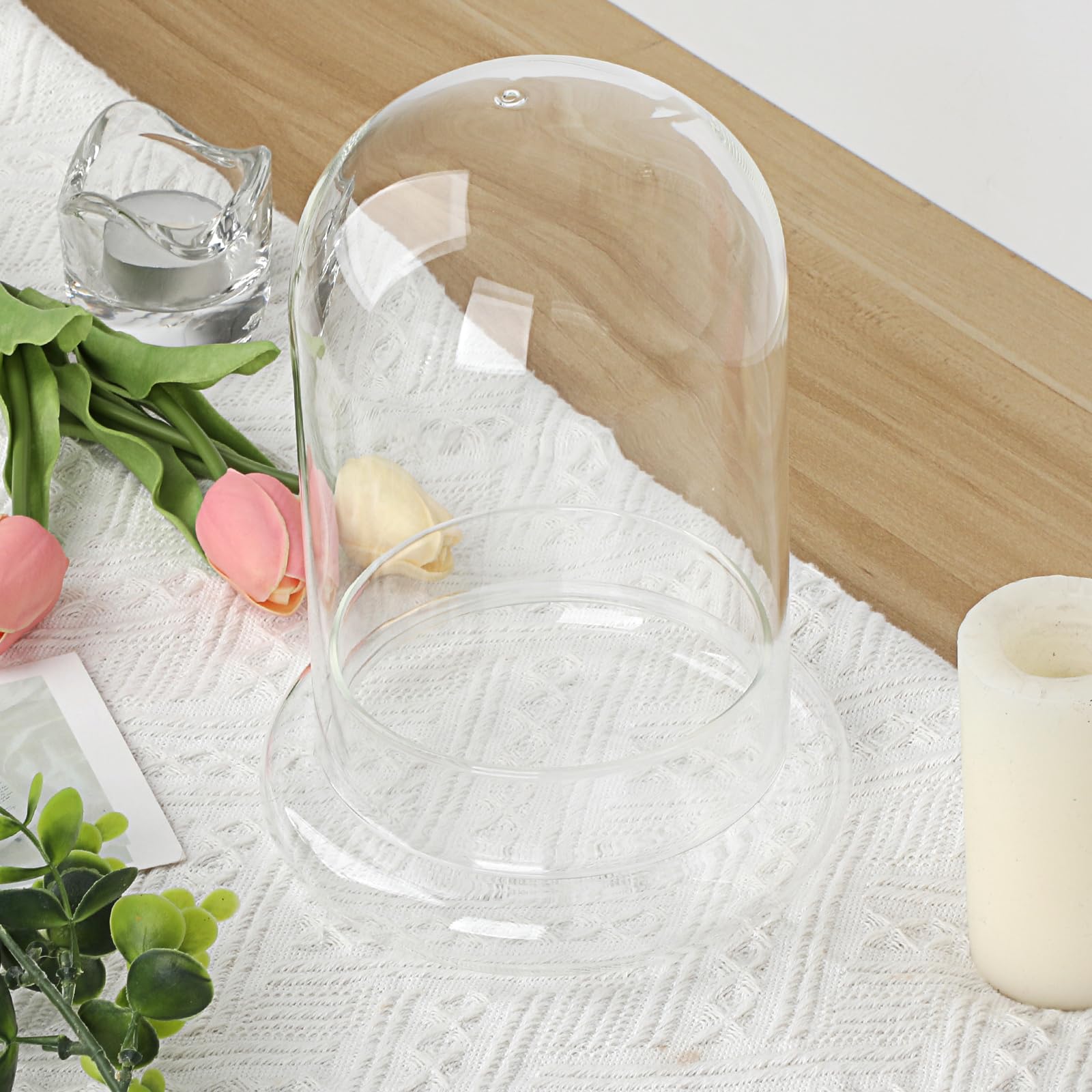 Mini pot de terrarium pour plantes succulentes - Dôme en verre transparent avec trou d'aération de 3 mm - Cloche décorative en verre avec fond en verre - Décoration de table pour bureau