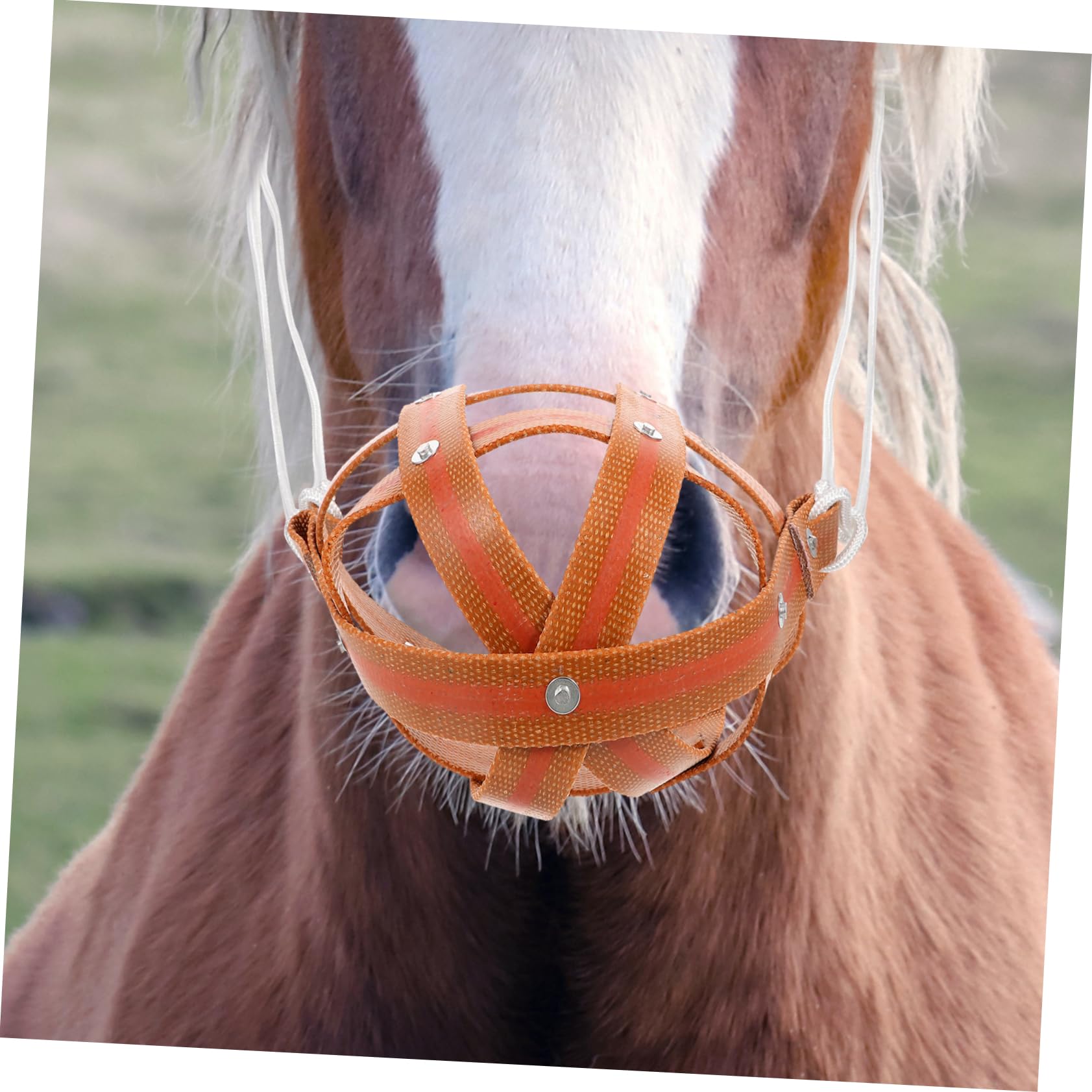 Housoutil Muselière De Pâturage Pour Chevaux Couvre-bouche Respirant Léger Protège Les Morsures Facile à Nettoyer Mettre