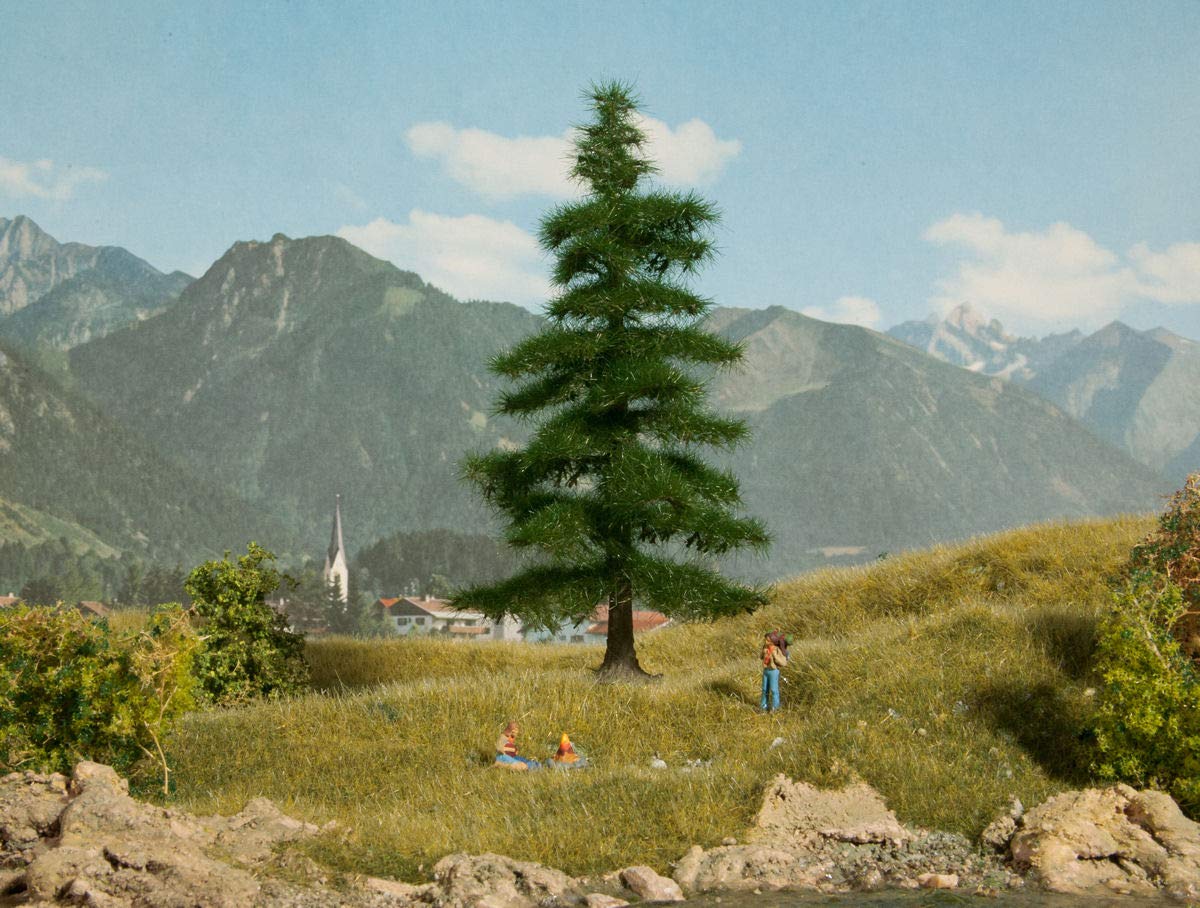 NOCH 21811 Nordmann fir tree.