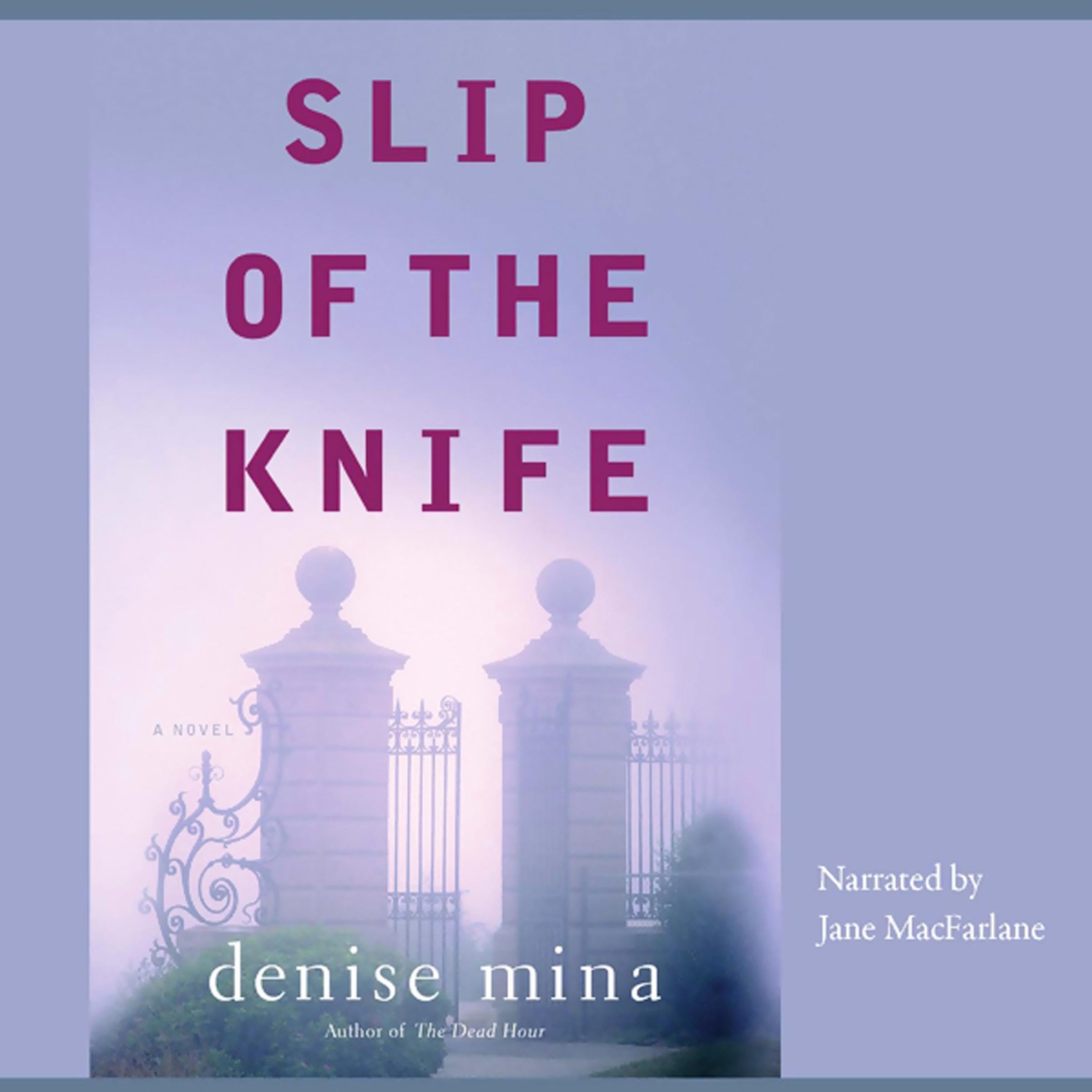 Cover art for Slip of the Knife