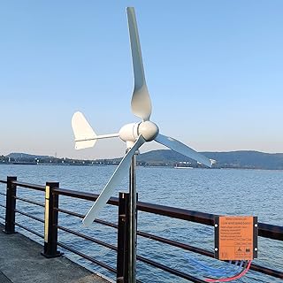 FLTXNY POWER Wind Turbine 1000W DC 24V Horizontal Wind Generator Kits 3 Blades with MPPT Charge Controller Free Energy