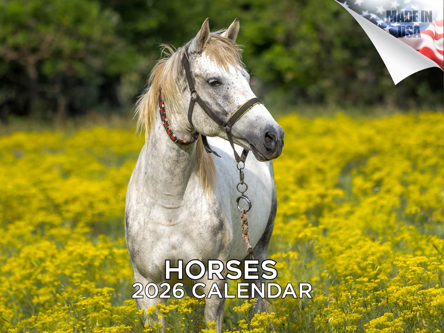 2024 2025 Horses Calendar - Cute Farm Animal Monthly Wall Calendar - 12 x 18 Open - Thick No-Bleed Paper - Giftable - Academic Teacher's Planner Calendar Organizing & Planning — image 1