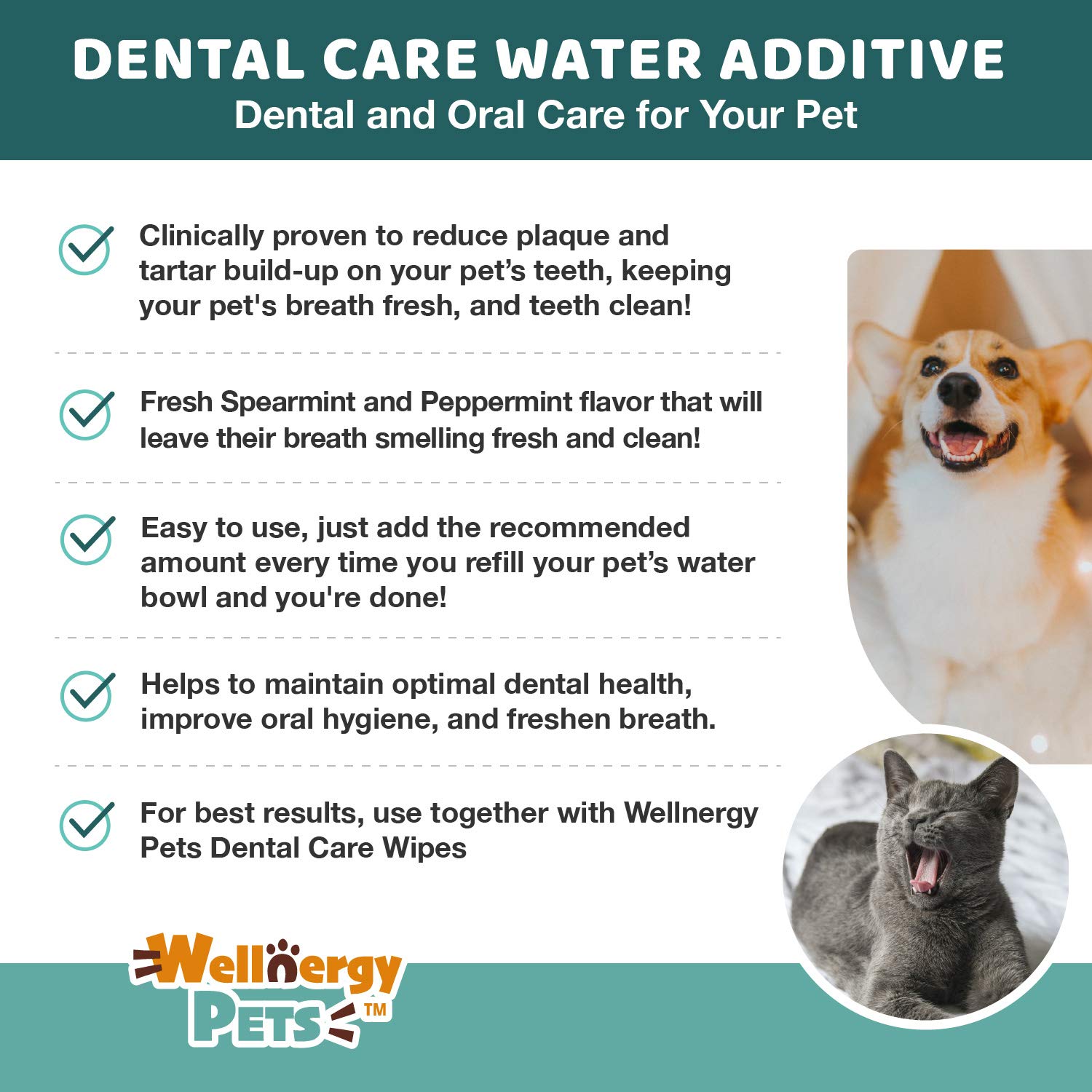 Dental Care Water Additive for Dogs & Cats 2 Pack – No Brush Formula, Oral Hygiene & Fresh Breath, Reduce Plaque and Tartar. 16 FL OZ Each Bottle - image 4