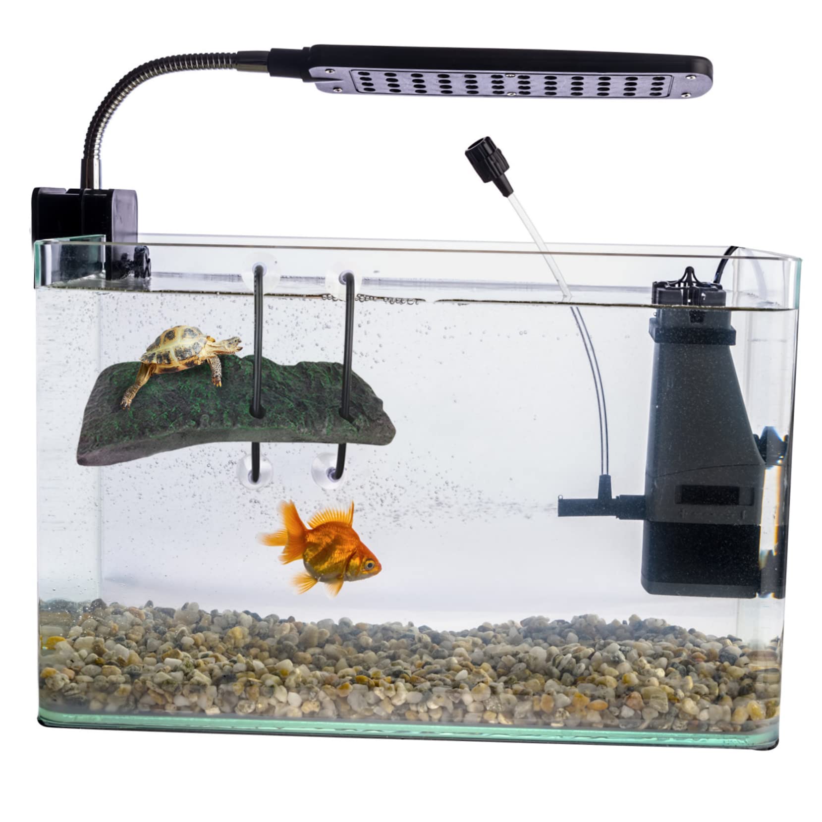 Yardwe 3 Pz Piattaforma di Sollevamento per Tartarughe Piattaforma Decorazioni per acquari petg terrario Tartarughe Accessori Tartarughe d'Acqua Arredamento dell'acquario