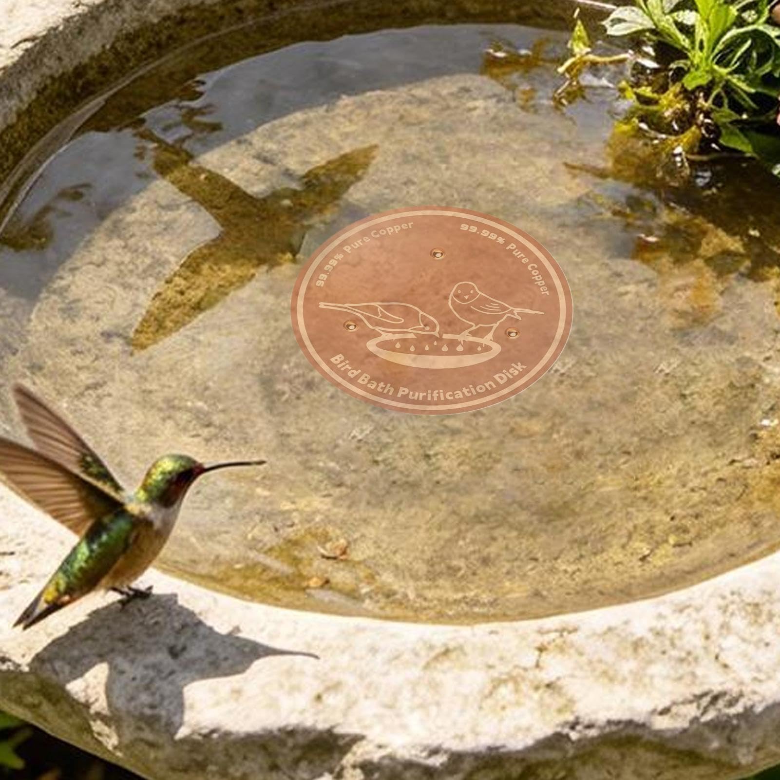 Generico Disco in Rame per Vasca da Bagno per, con Supporto Sicuro, 10x9 Cm, Purificatore d'Acqua, Disco da Bagno per, Inibitore di Alghe, per Patio Cortile Terrazza Prato