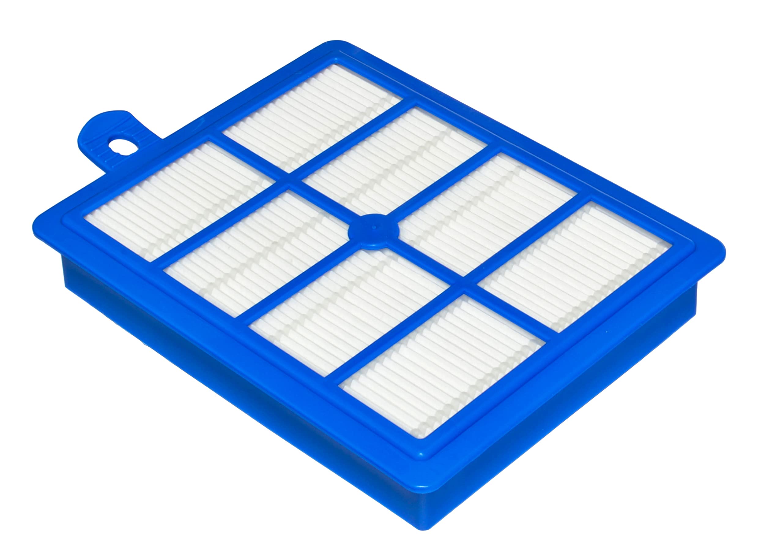 Philips FC8031 / FC8038 Filtro HEPA E Microfiltro – Confezione Da 2 Pezzi – Lavabile, Compatibile Con Aspirapolvere Philips E Altri Marchi