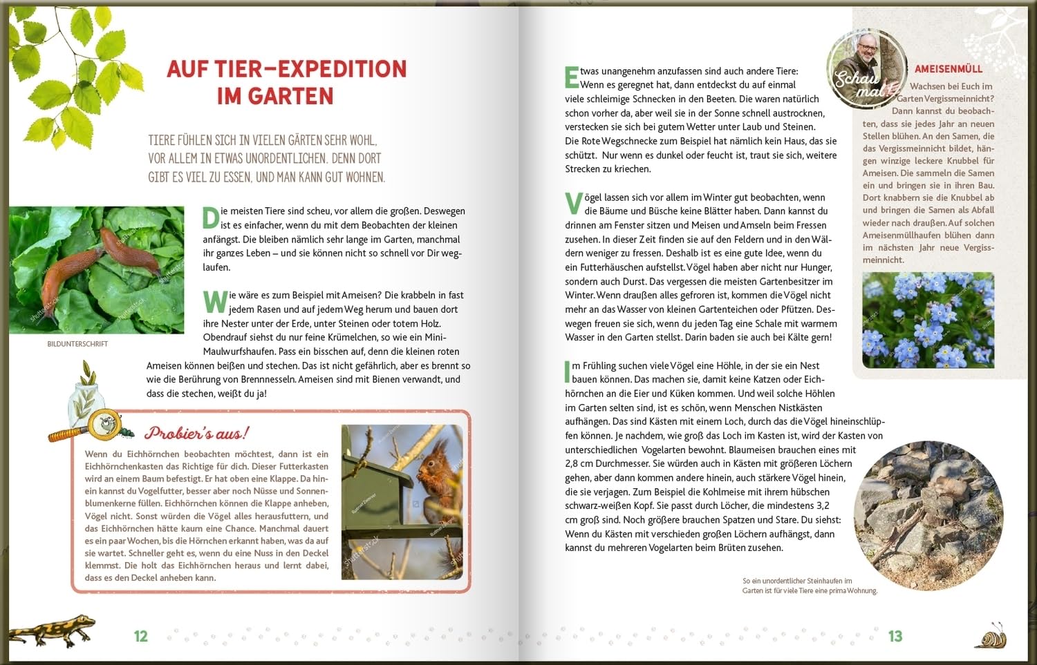 Weißt du, wo die Tiere wohnen?: Eine Entdeckungsreise durch Wiese und Wald | Interessantes Kinderbuch über die Natur und die Tierwelt ab 6 Jahren (Peter & Piet)