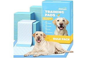 X-Large Puppy Training Pads: Leak-Proof Protection for Your Furry Friend