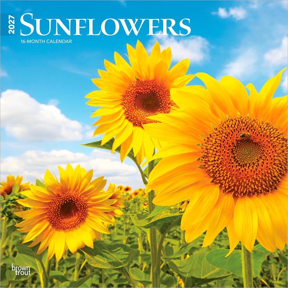 Sunflowers 2027 12 X 24 Inch (Hanging) Monthly Square Wall Calendar Plastic-Free: Original BrownTrout-Kalender [Mehrsprachig] [Kalender]