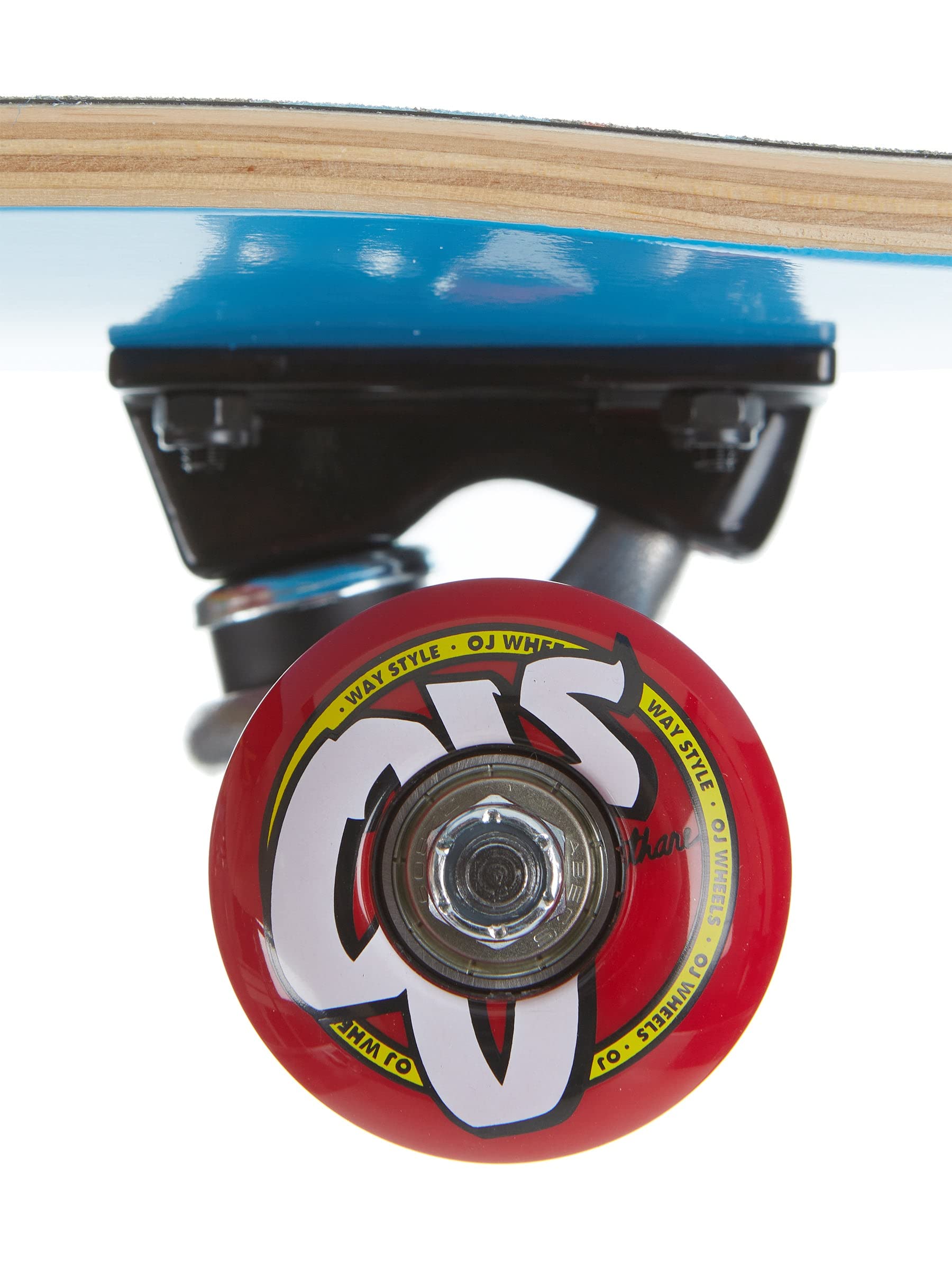 Amazon | サンタクルーズ SANTA CRUZ CLASSIC DOT BLUE SUPER MICRO