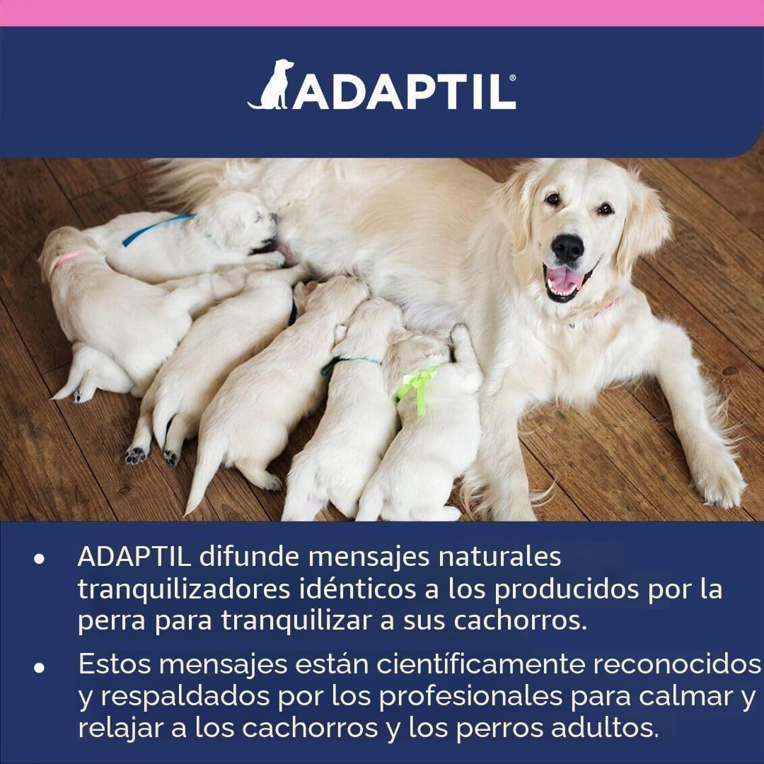 CEVA Adaptil Junior - Collar para Perro. 46,5 cm