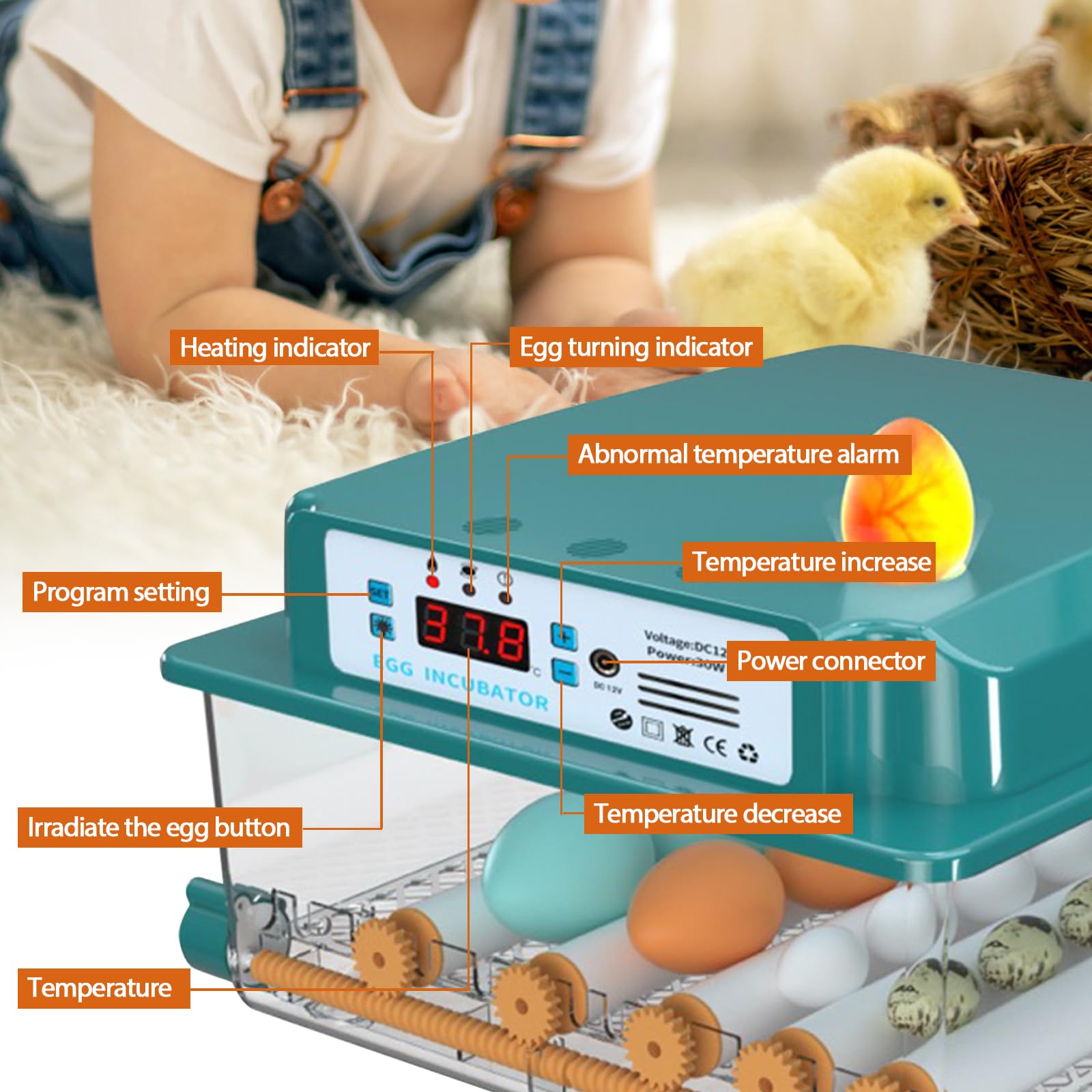 Incubatrice per Uova Automatica Incubatrice per 16 Uova Gallina Controllo Automatico della Temperatura Giratura Automatica delle Uova Design Elettrico Doppio (UK plug)