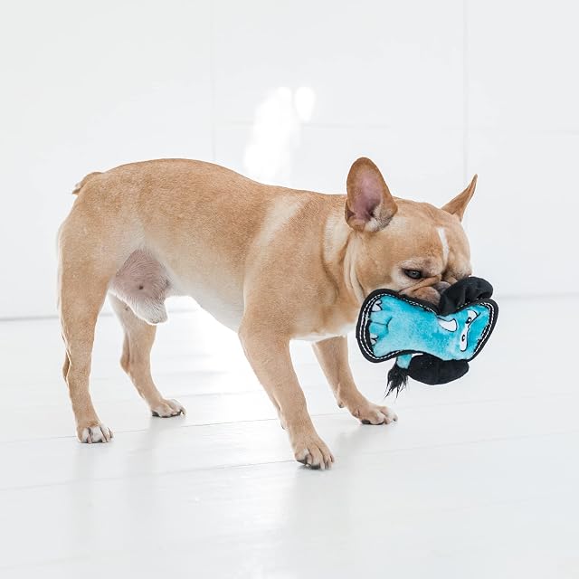 Foto 6 de 6 de Outward Hound Tough Seamz Elefante - Juguete de Peluche para Perro, pequeño