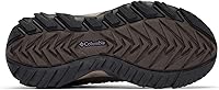 Vista 131 de Columbia Women's Newton Ridge Plus Waterproof Amped Hiking Boot Remolacha/Madeira profunda