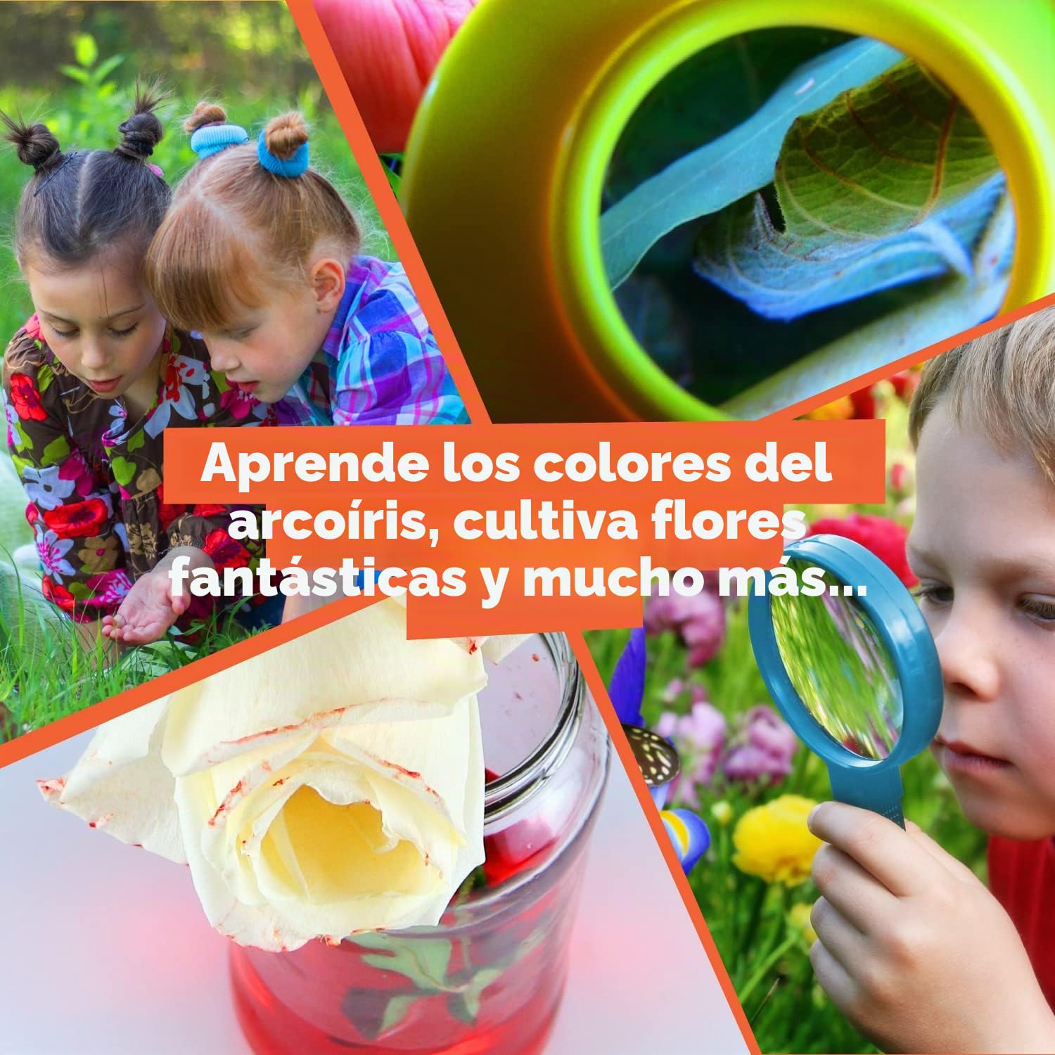 Science4you - Kit Explorador Niños 4 Años - Kit Ciencia con +15 Eco Actividades: Crea un Hormiguero, Utiliza la Linterna Infantil y Lupa para Niños, Juegos Educativos y Multi Idioma para Niños +4 Años