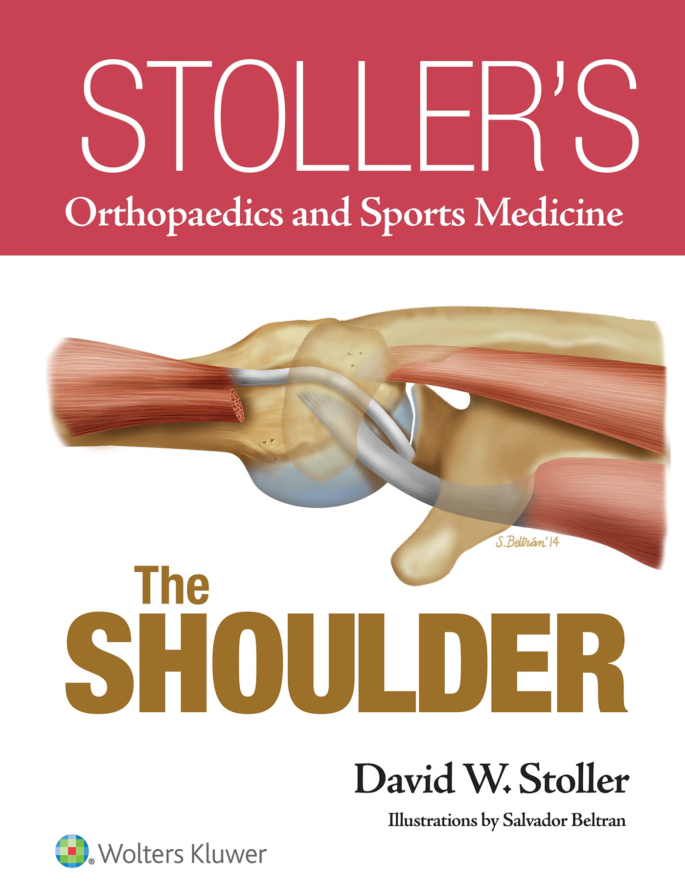 Buy SOTLLERS ORTHOPAEDICS AND SPORTS MEDICINE THE SHOULDER (HB
