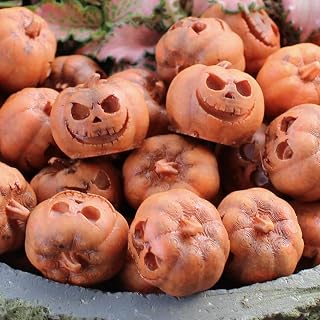 20 Pack Mini Halloween Pumpkin Decorations, 0.59x0.63x0.67 Inch Tiny Resin Pumpkins for DIY Crafts, Spooky Party Favors, Halloween Table Scatter, Flowerpot and Fall Decor