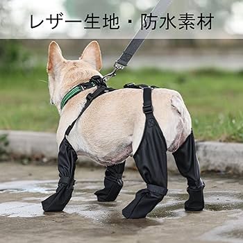 いし犬 Amazon｜【犬がいます ドアの開閉注意 マグネット】 1枚入 犬の