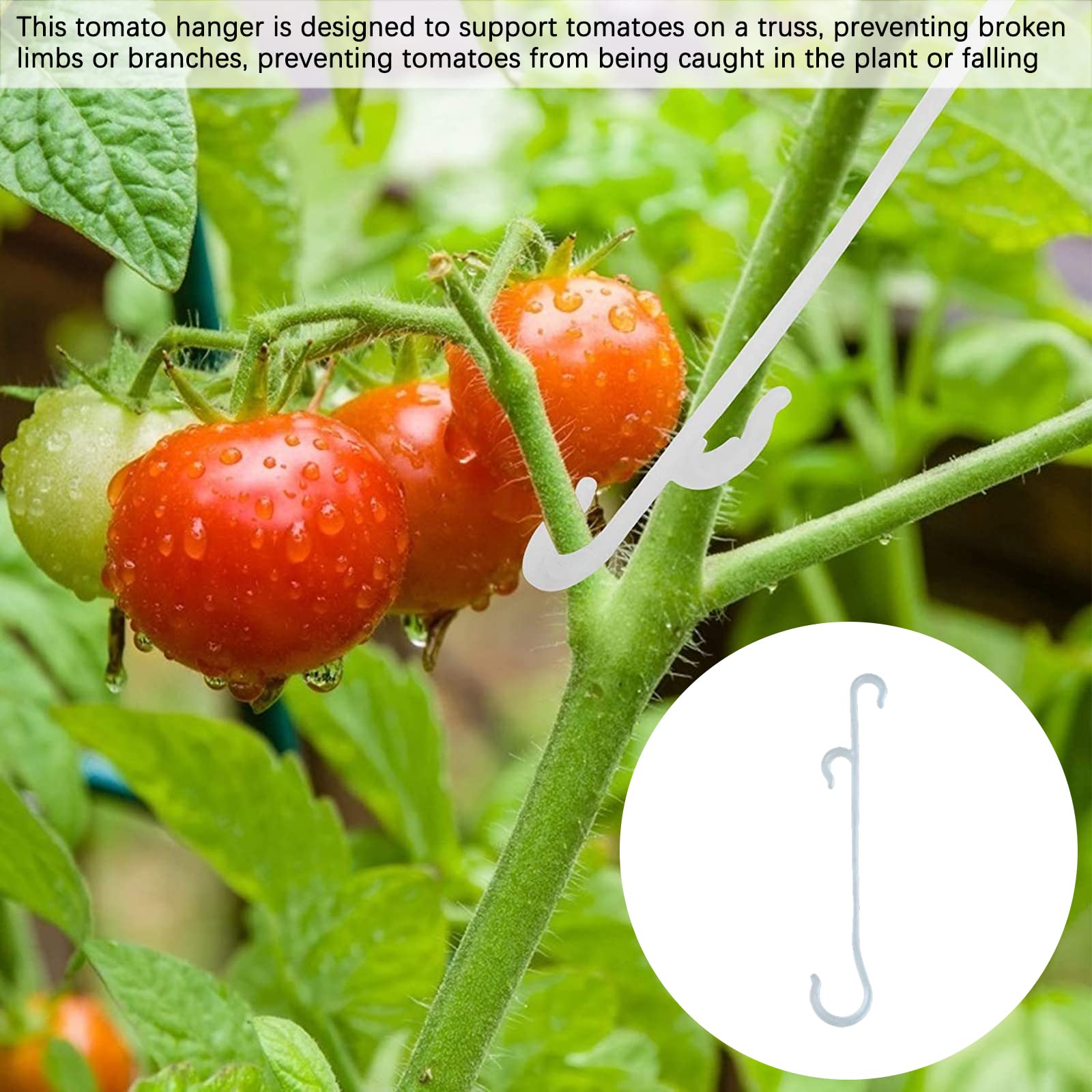 100 Pflanzenclips, 13 Cm – J-Haken Für Tomaten, Gurken & Rankpflanzen