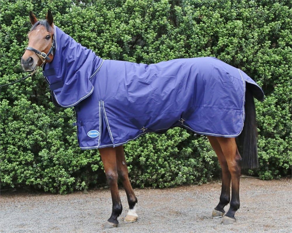 Barnsby Equestrian Waterproof Horse Winter Blanket/Turnout Rug with Neck Combo - 600 Denier with 300g Fill Navy 75"