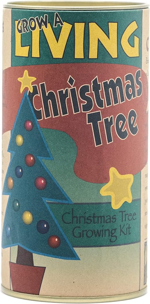 The Jonsteen Company Living Christmas Tree Seed Grow Kit