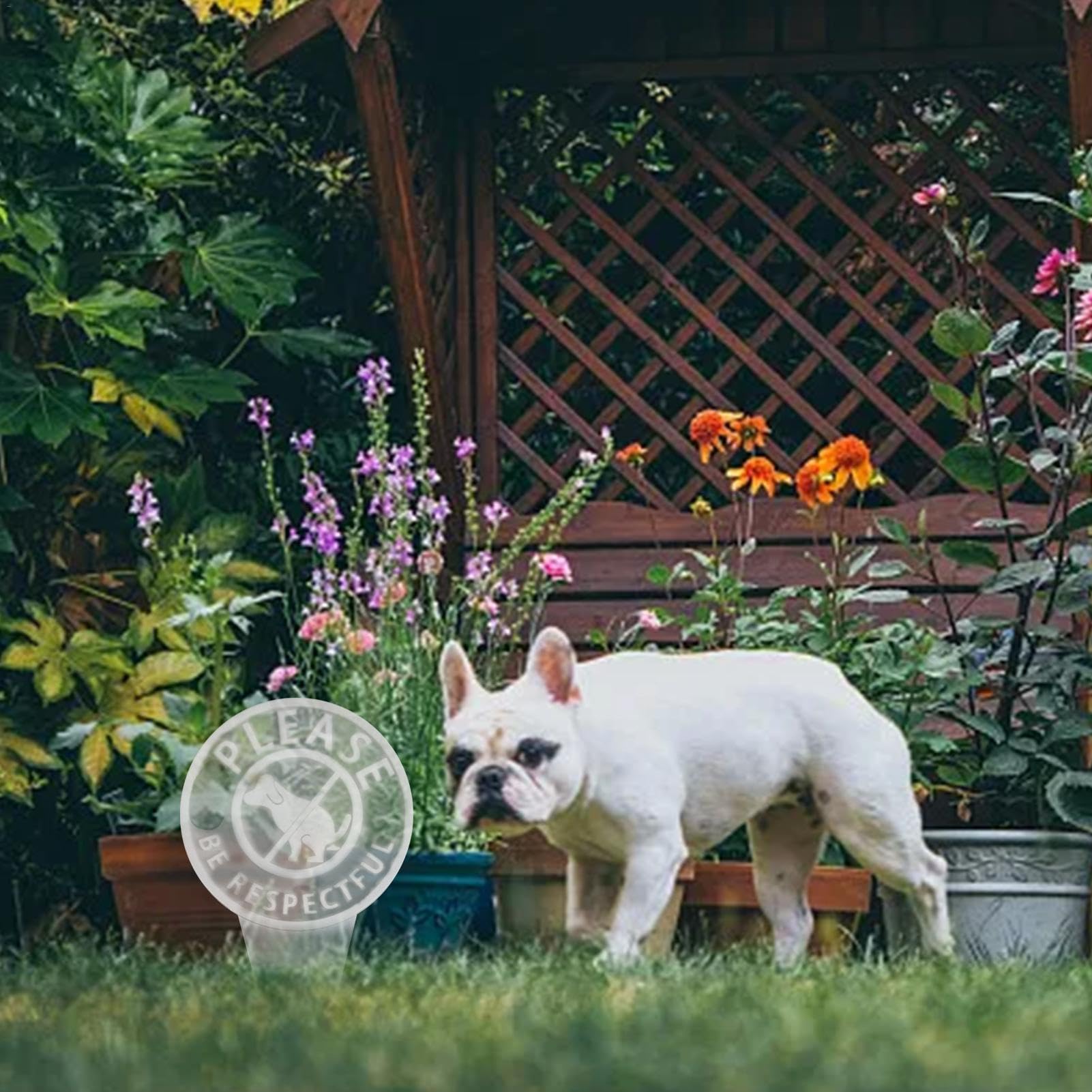 Hitburu Panneaux Interdiction Déjections Canines Pour Jardin