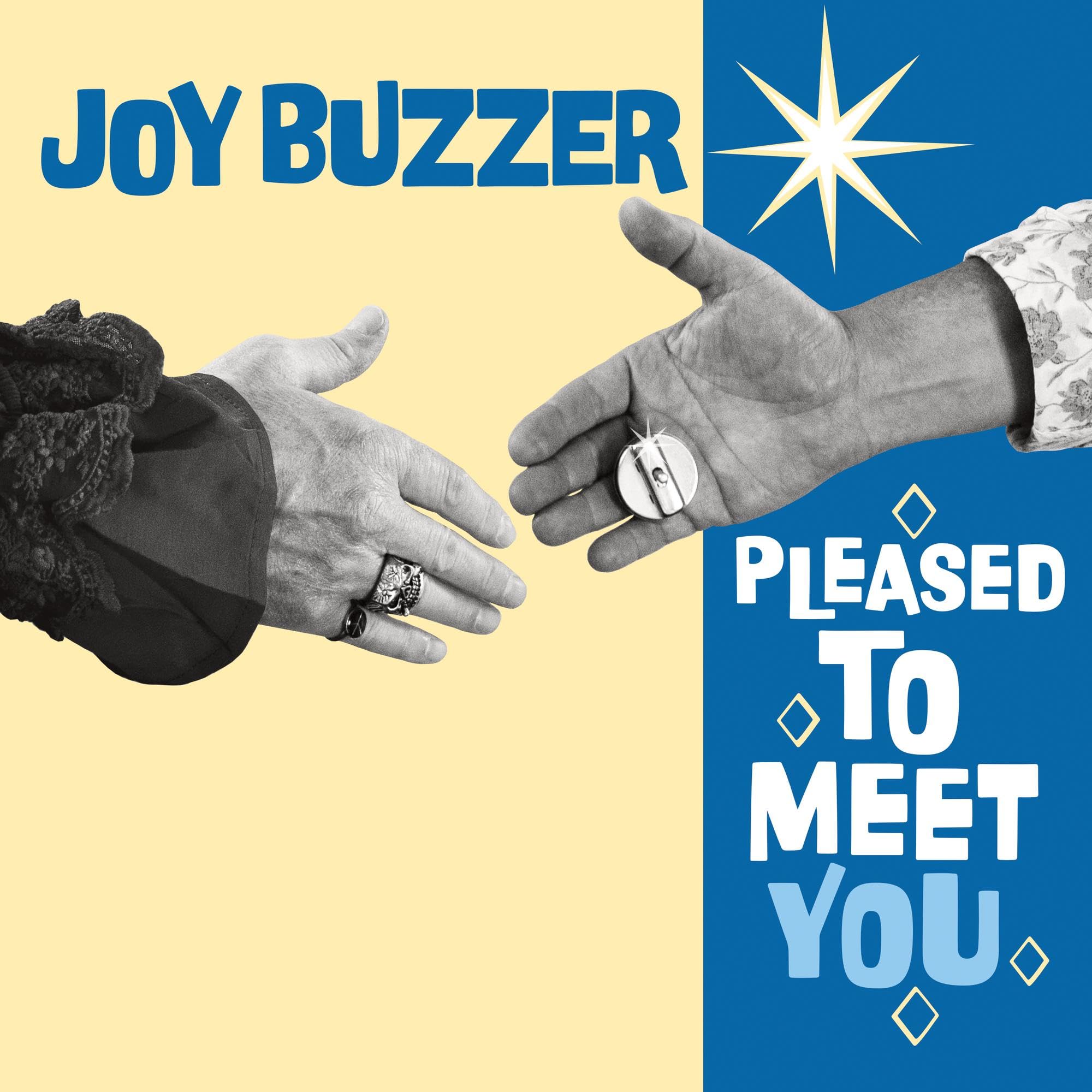 Pleased to Meet You [VINYL]