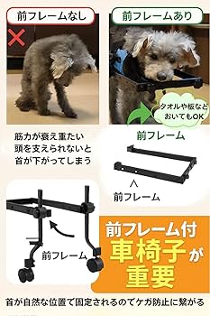 キャバリア4輪　リハビリ　食事補助　犬用車椅子　シニア犬補助　犬の歩行器 キャバリア4輪リハビリ食事補助犬用車椅子介護用犬の歩行器