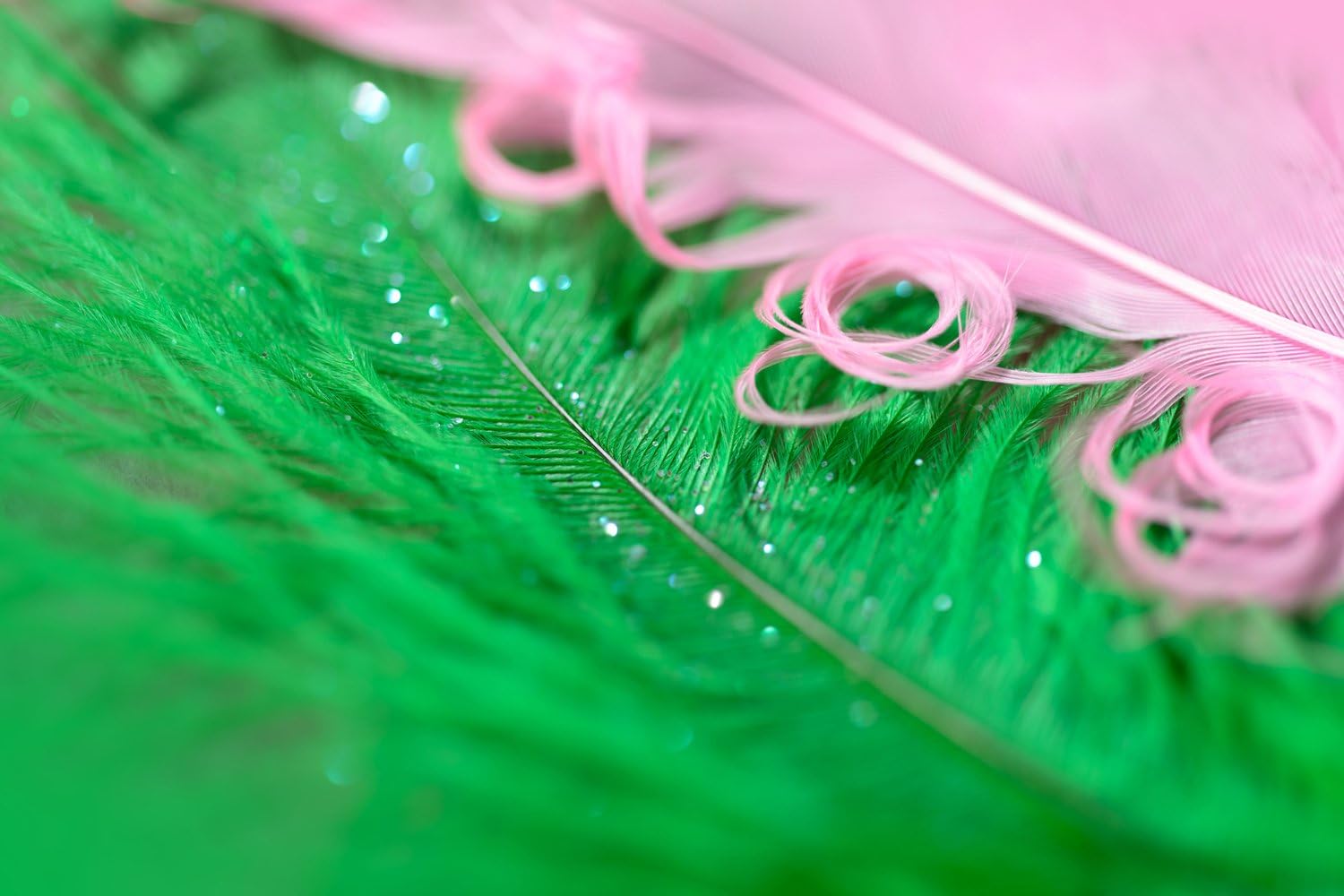 10 Pieces - 17-19" Lime Green Ostrich Dyed Drabs Body Plumage Feathers Halloween, Costume, Gatsby Centerpiece | Moonlight Feather