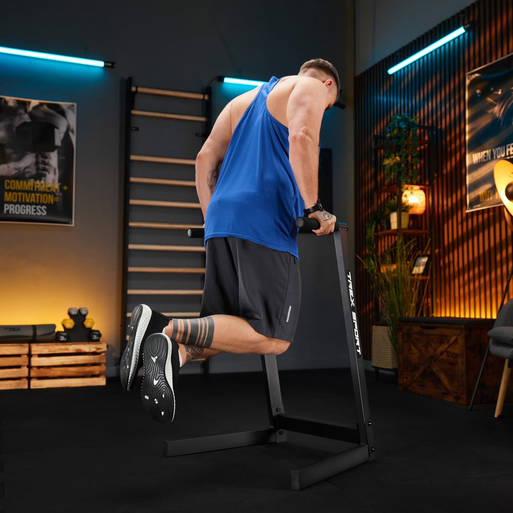TREX SPORT Dip Barren Dip Station Push Up Dip Ständer bis 150 kg TX-035DS | Aus Stahl, Stabil & Rutschfest, Calisthenics Equipment für Dips, Bauch & Oberkörper