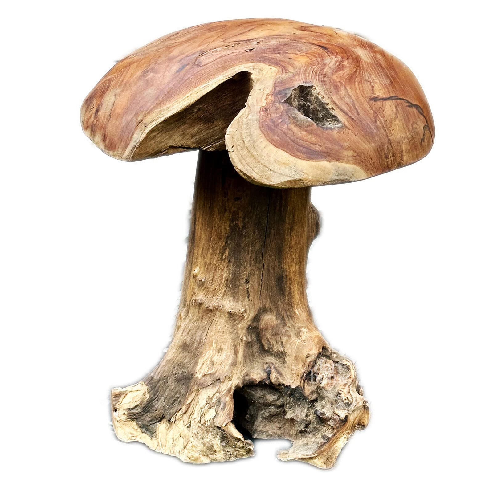 Darthome Brown Teak Root Mushroom Sculpture 35Cm Hand Carved Wood Toadstool Outdoor Decor Med