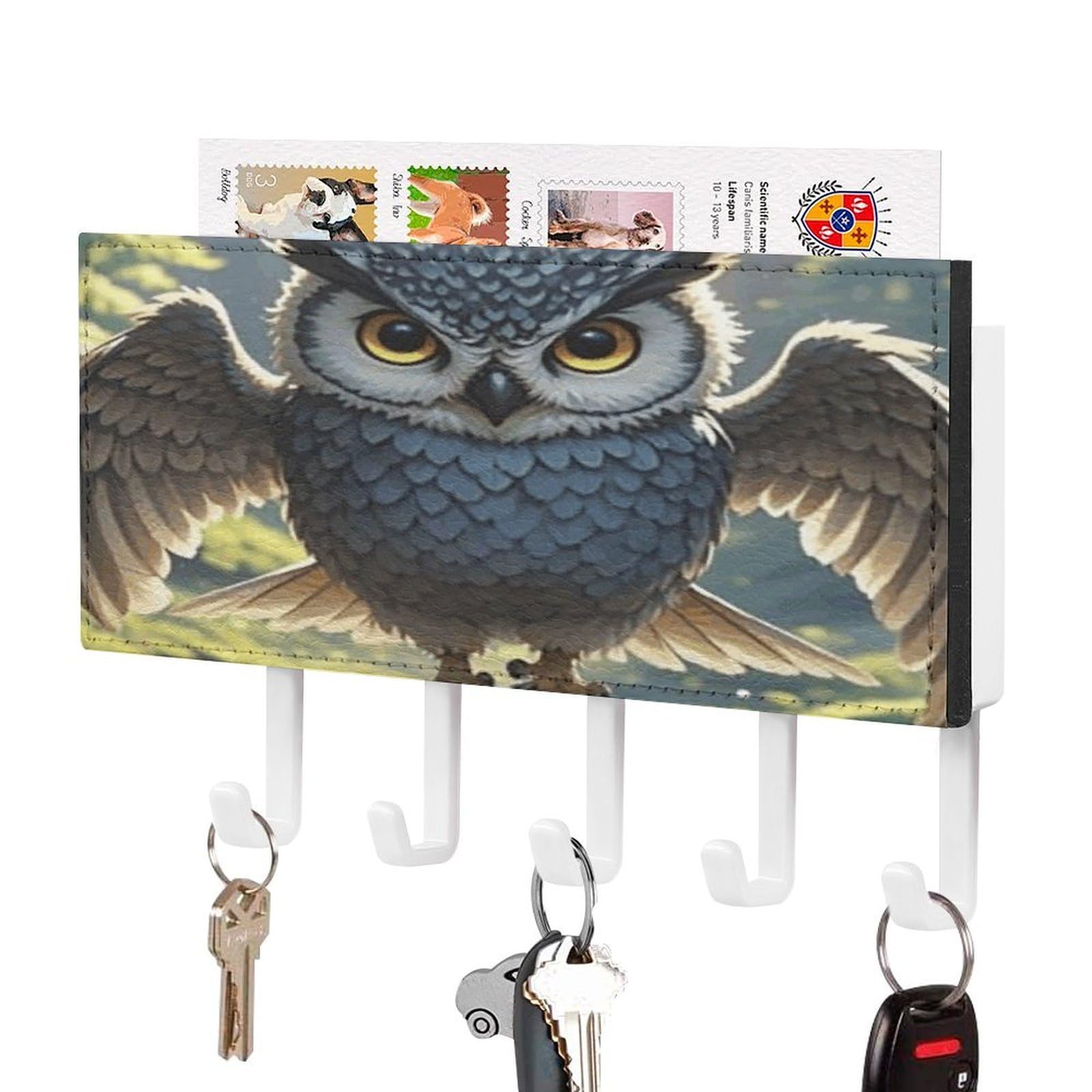 FekiLoot Anime Owl Key Holder for Wall Decorative Mail Organizer with 5 Key Hook Self Adhesive Key Rack with Tray Coat Rack Wall Mount Key Hanger Decor for Entryway Door