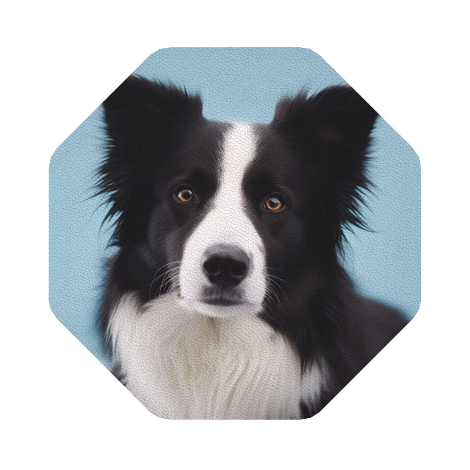Border Collie Print Leather Coaster Set of 6, Octagon Coasters Table Decorative Coffee Cup Beverage Coasters Wine Beer Bar Coasters for Hot Drinks Table Protection