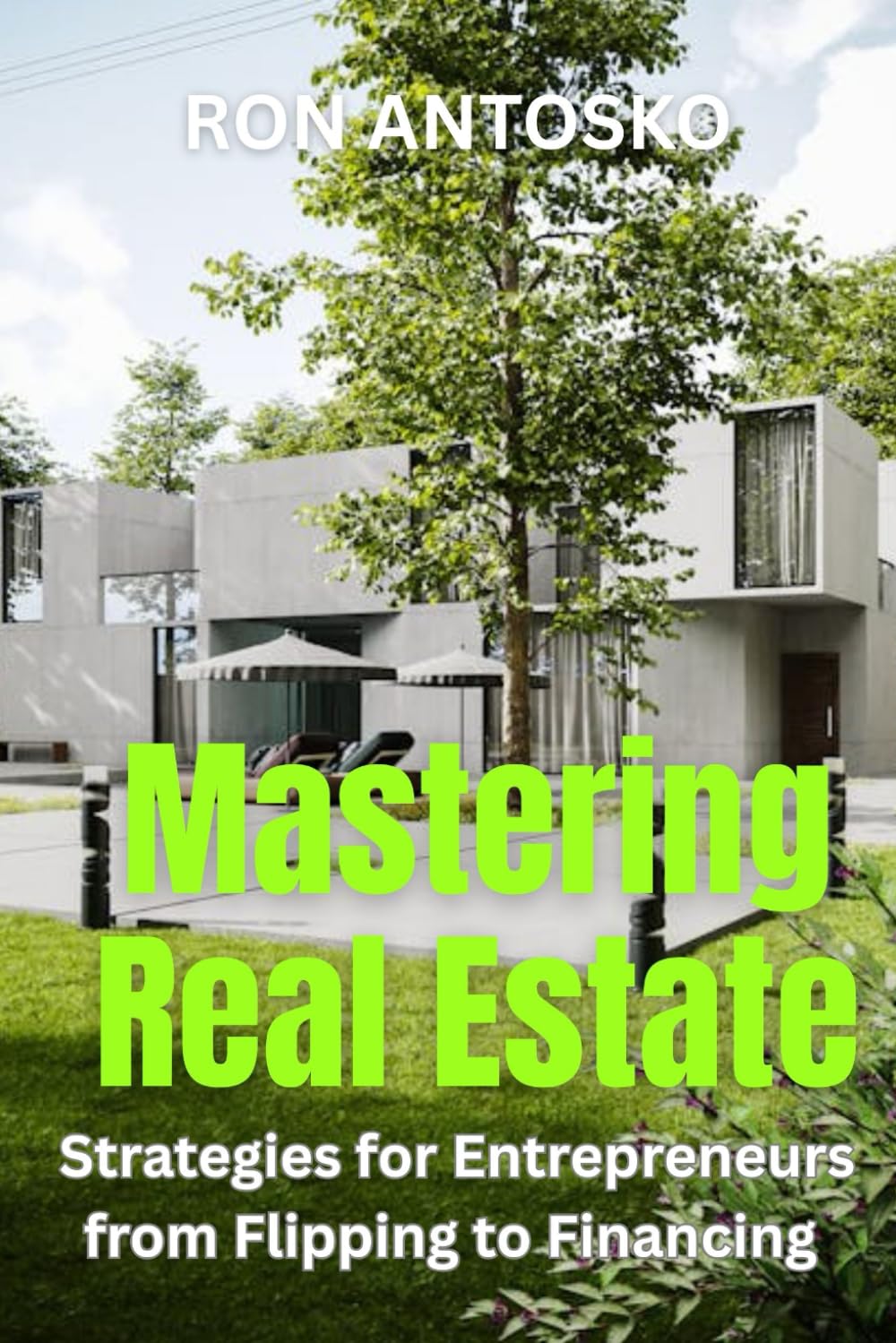 Mastering Real Estate: Strategies for Entrepreneurs from Flipping to Financing