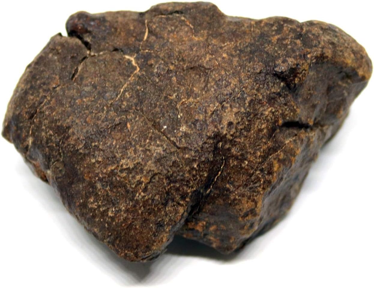 Fossils, Meteorites, & More Moroccan Meteorite Chondrite Genuine 138.7 Grams w/Color Card 15527 8o