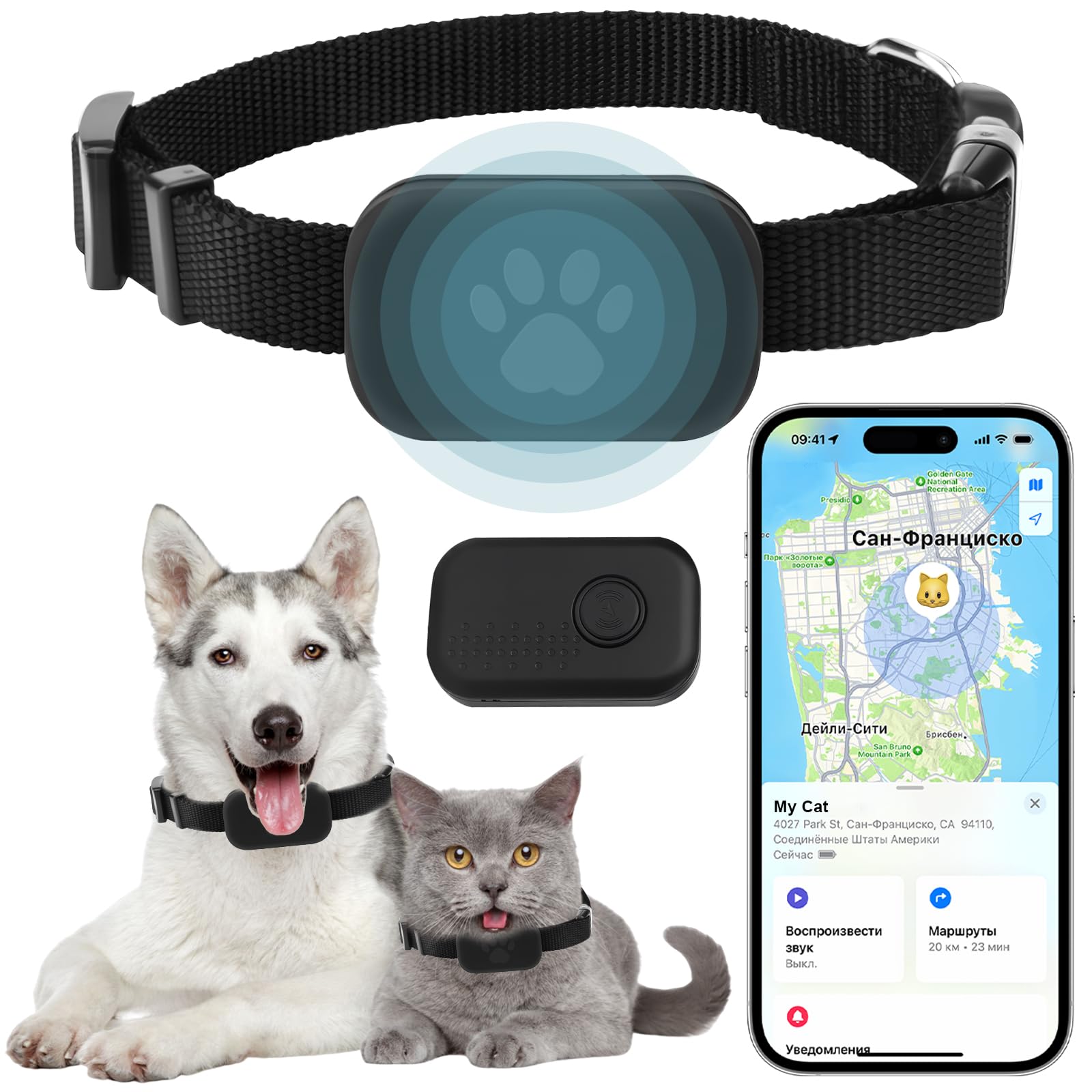Localizzatore GPS per Gatti e Cani con Collare, Tracker Senza Abbonamento, Compatibile iOS e Android, Collare Regolabile Impermeabile Anti Smarrimento per Animali