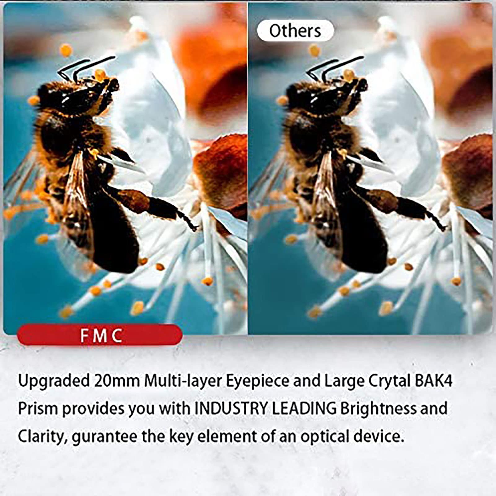 Monoculaires HD, 10-30 × 42 Zoom Monoculaires de poche étanches Lentilles à revêtement FMC Monoculaires portables avec trépied pour téléphone intelligent Convient pour les voyages d'observation