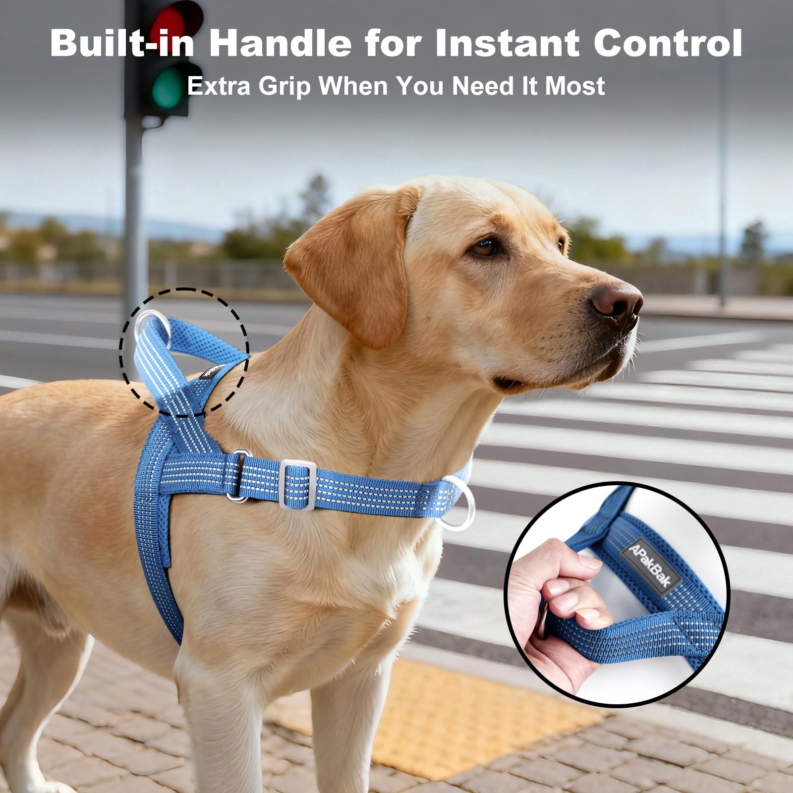 No Pull Dog Harness with Handle, Adjustable Soft Mesh Padded Reflective Walking Harness with Front Clip for Small Medium Large Dogs – Quick Fit No Escape for Training and Hiking (Blue, XL) - image 3