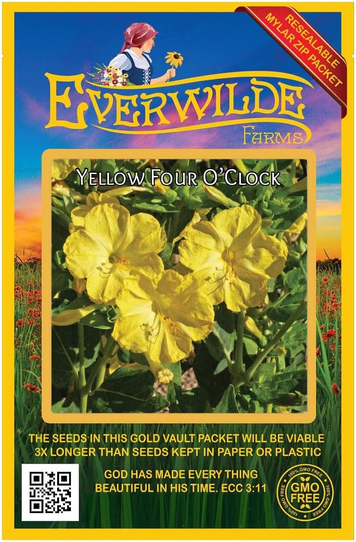 Everwilde Farms - 1 Lb Yellow Four O' Clock Wildflower Seeds - Gold Vault