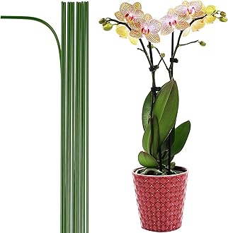 10-PCs 15-3/4" Plastic Coated Orchid Stakes for Plants Support, Bendable Orchid Support Stakes - Green
