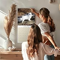 Vista 2 de Razas de Perros 2017