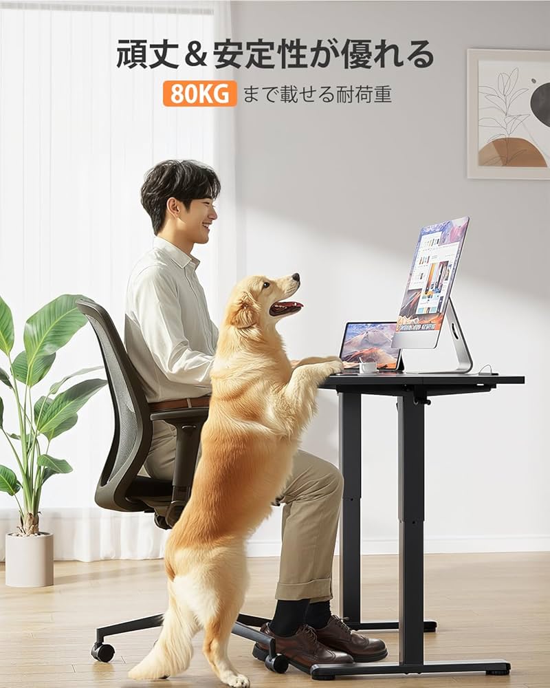 電動昇降デスク ロータイプ 幅100cm 奥行60cm 高さ48-72cm 41sSui0dZpL.jpg