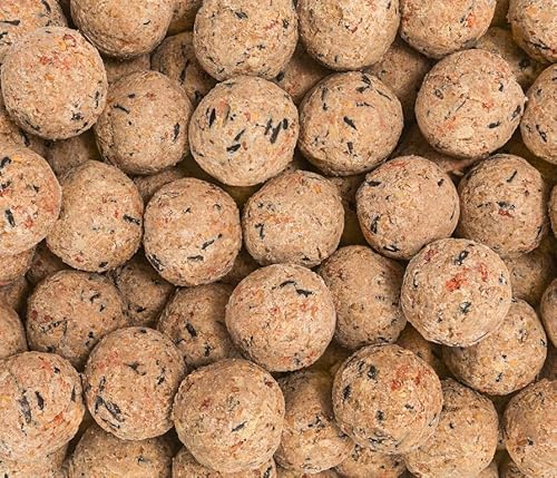 Dehner Natura Premium Meisenknödel ohne Netz, Beerenknödel, ganzjähriges Wildvogelfutter proteinreich / energiereich, 100 Stück je 90 g (9 kg), Karton aus FSC-zertifizierter Produktion
