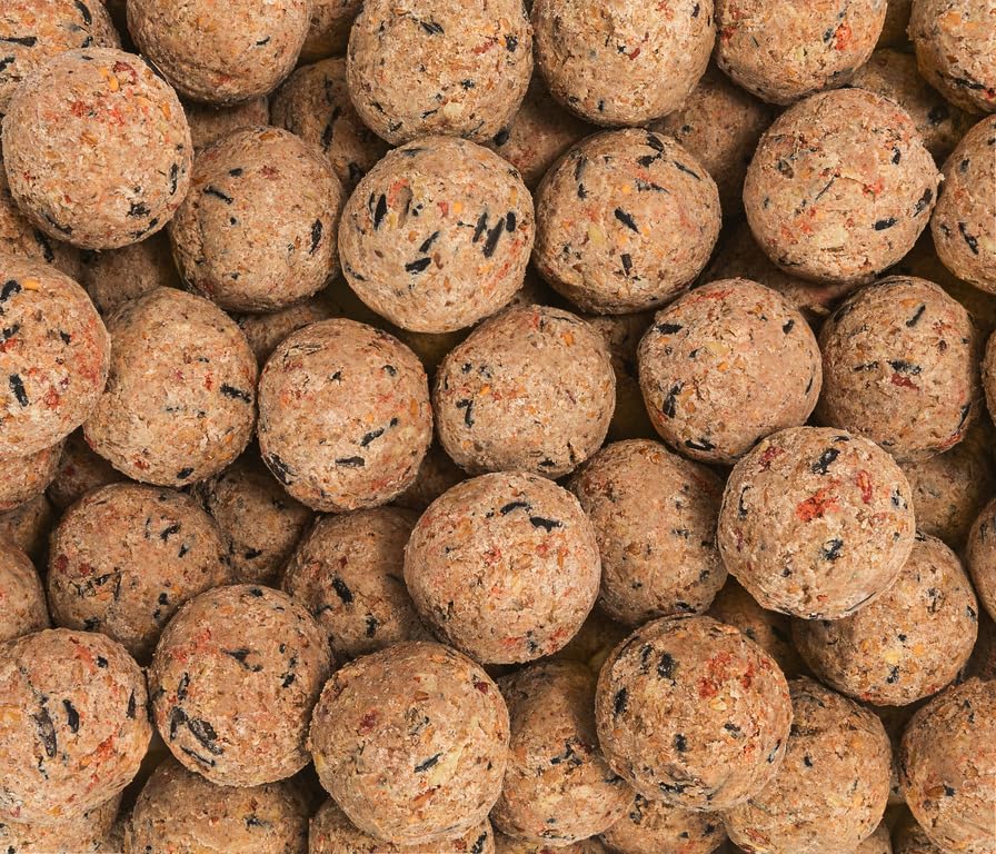 Dehner Natura Premium Meisenknödel ohne Netz, Beerenknödel, ganzjähriges Wildvogelfutter proteinreich / energiereich, 100 Stück je 90 g (9 kg), Karton aus FSC-zertifizierter Produktion