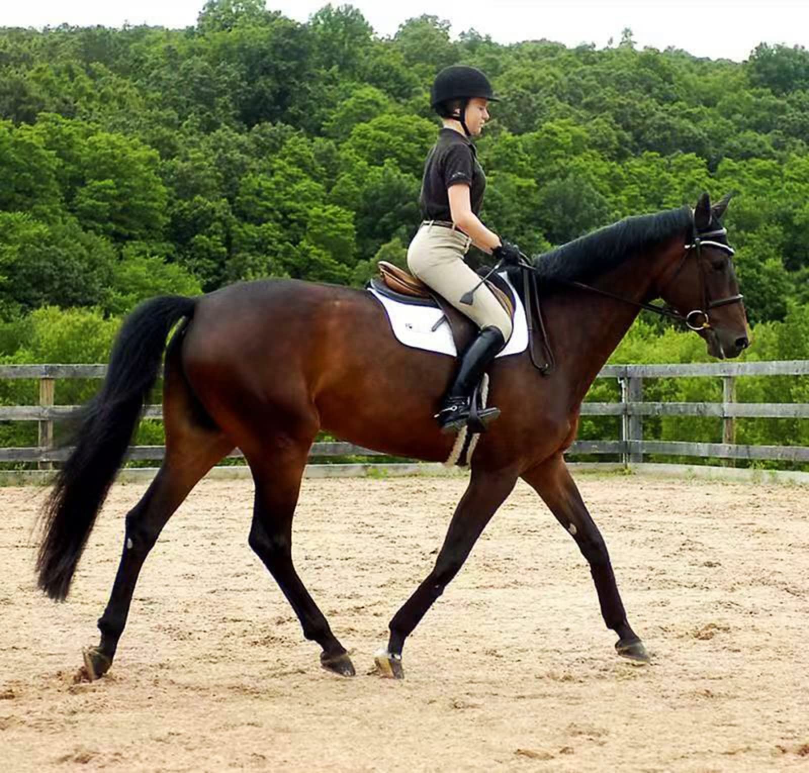 FINGER TEN Gants Cheval Equitation Enfants Quotidien ÉQuestre Fille/Garçon Paire De Valeur, Prise en Confortable Riders Trend Durable Et Respirante Filles Poney Jeunes ExtÉRieur Mitts
