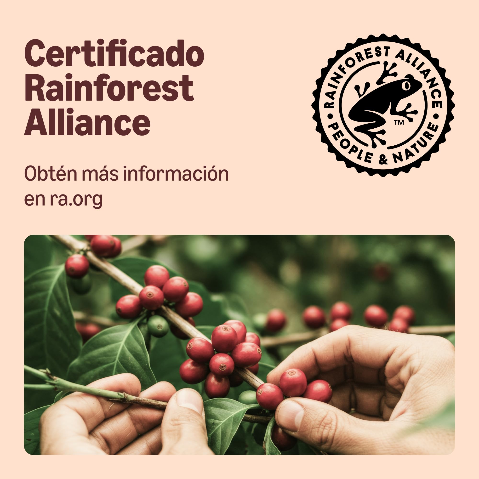 by Amazon Cápsulas De Café Lungo, en cápsulas compatibles con dolce gusto, 48 cápsulas (3 paquetes de 16)