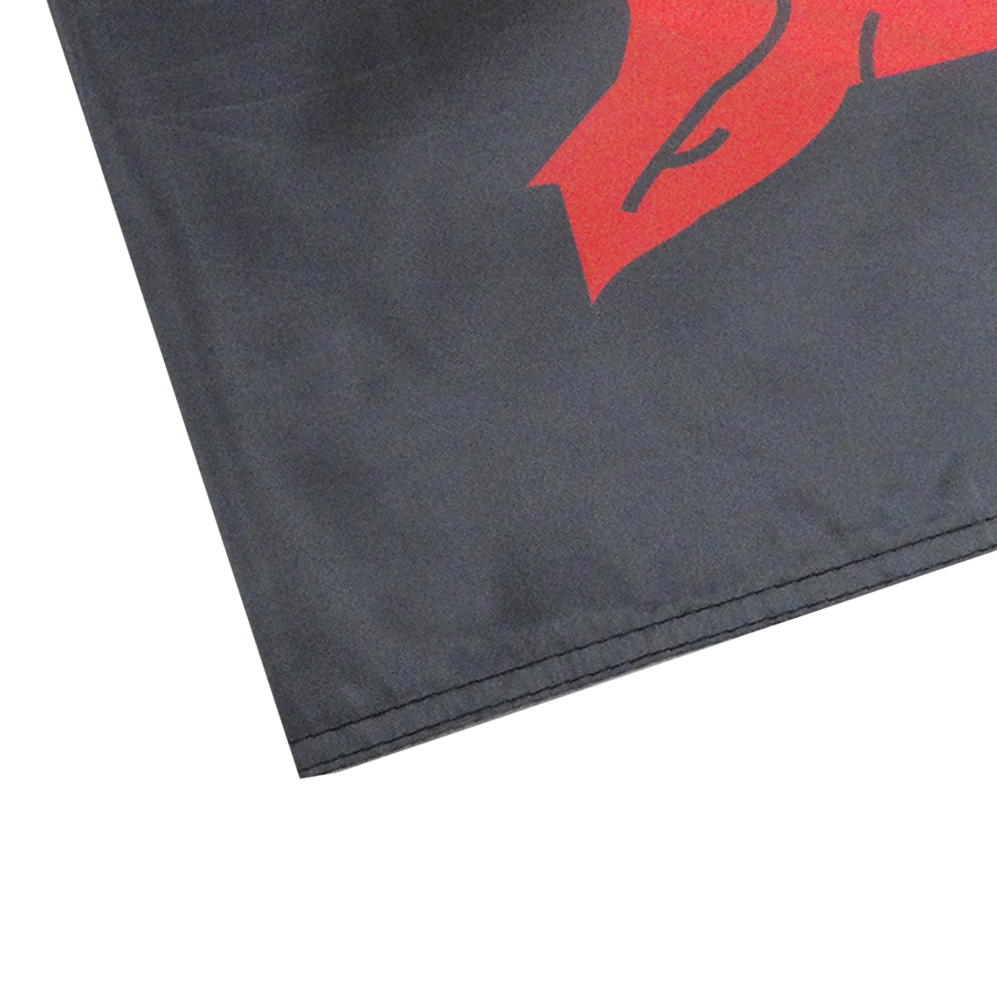 AZ FLAG Bandera Gales Dragon Negro 90x60 cm Poliéster Con Ojales de Metal
